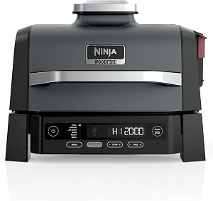 Ninja Woodfire Outdoor Grill & Smoker, 6-in-1 Functionality, Grill, Smoke, Bake, Roast